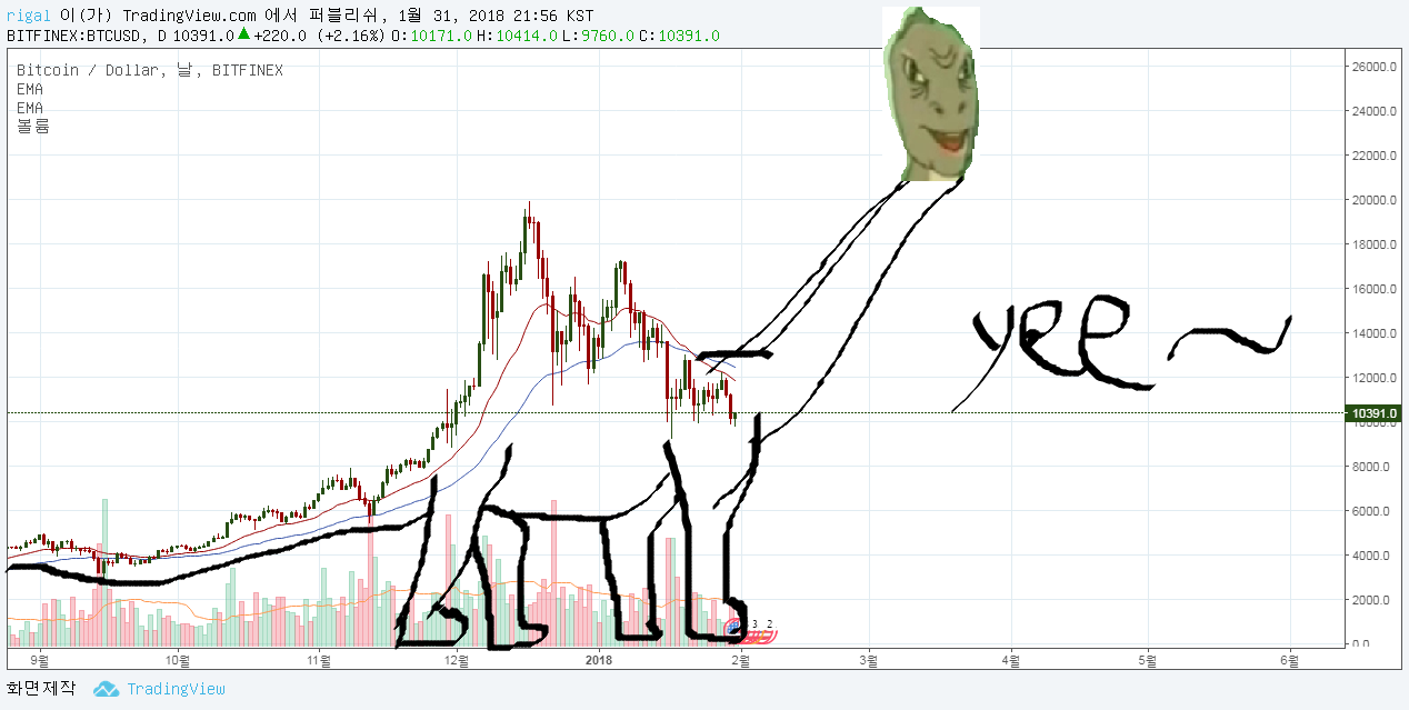 차트] 코인 단타시 몇분봉을 주로 참고 하시나요? | 코박 - 가상자산 투자정보 플랫폼